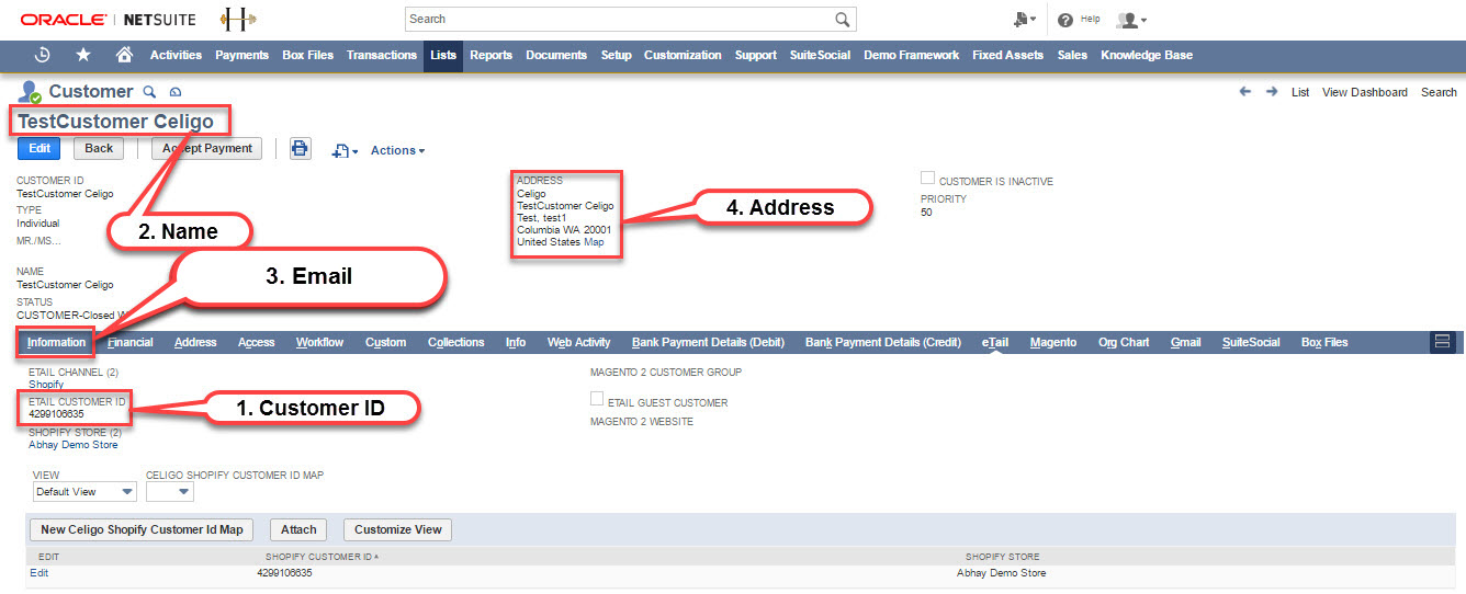 NetSuite_Customer_import.jpg