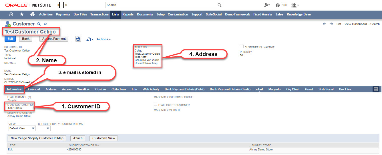 NetSuite_Customer_import.jpg