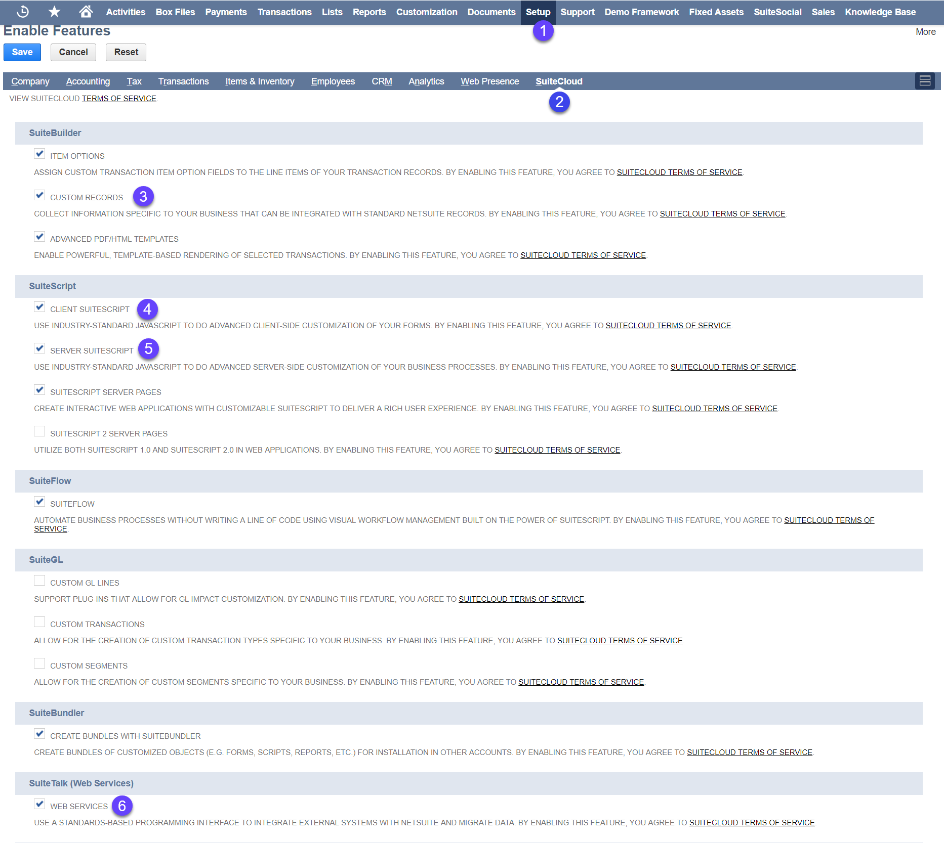 Setup_SuiteCloud.png